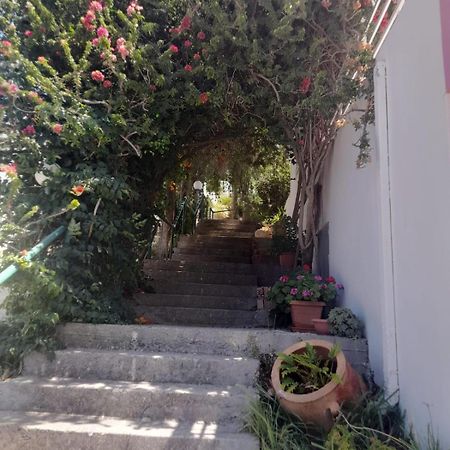 Camelia Διαμέρισμα Πλακιάς Εξωτερικό φωτογραφία