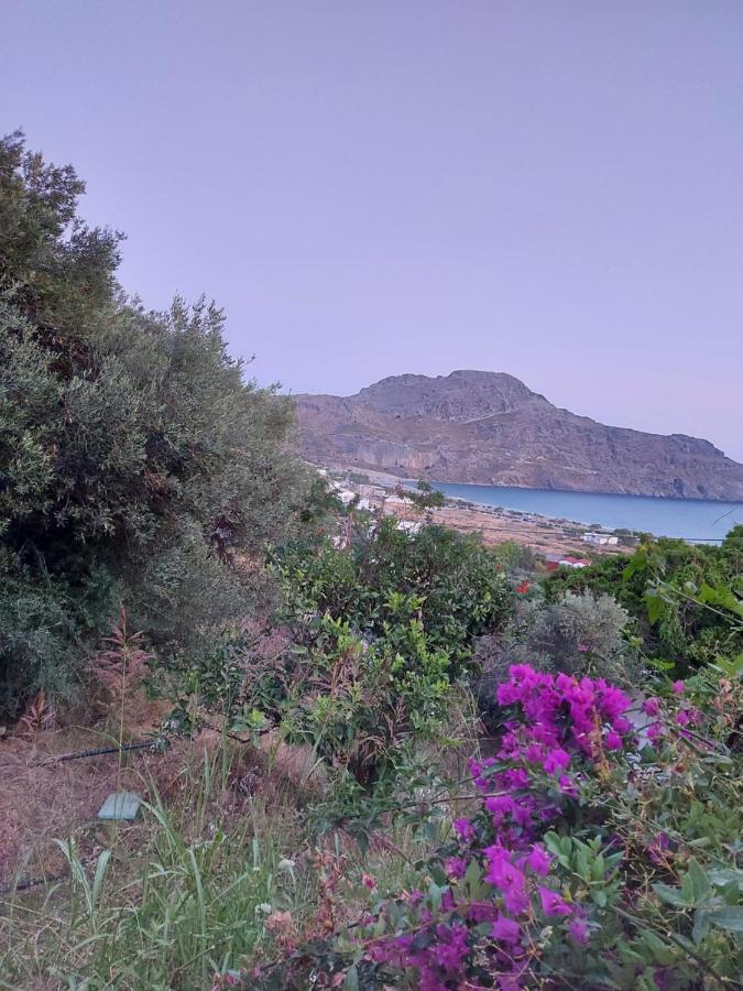 Camelia Διαμέρισμα Πλακιάς Εξωτερικό φωτογραφία