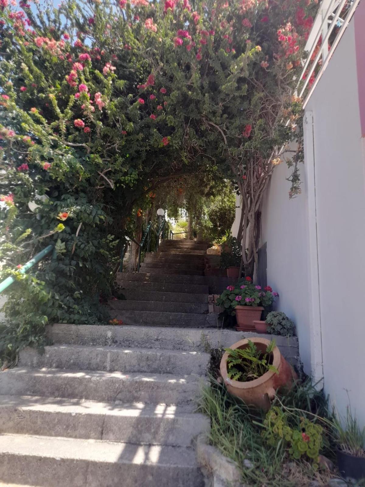 Camelia Διαμέρισμα Πλακιάς Εξωτερικό φωτογραφία