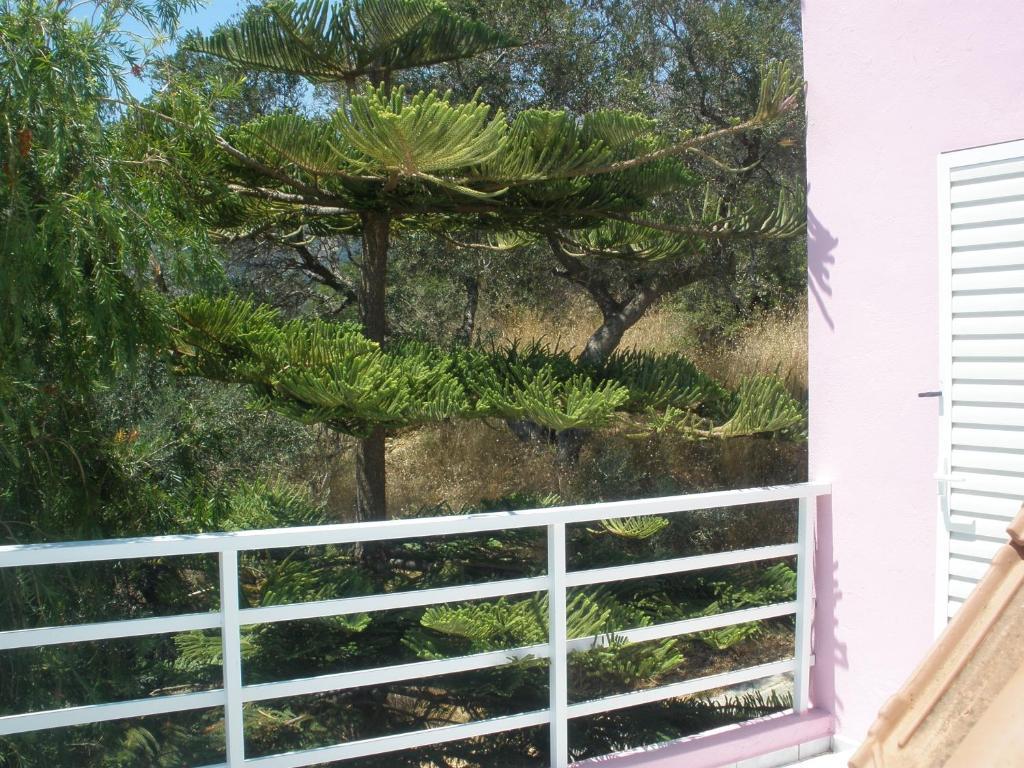 Camelia Διαμέρισμα Πλακιάς Εξωτερικό φωτογραφία
